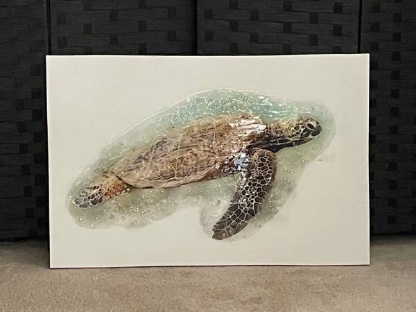 CANVAS TURTLE PICTURE 1