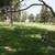 ★Forest Lawn HOLLYWOOD HILLS Cemetery Plot**SINGLE/DOUBLE PLOTS** SALE 3 thumbnail