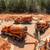 $204-$354/Day - Mixer Driver, We Train, CDL Req - NEWTON NC 1 thumbnail