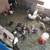 Jumbo quail 2 thumbnail