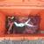 Chainsaw box 1 thumbnail