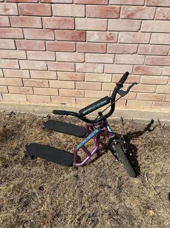 California Chariot Skoooch 1