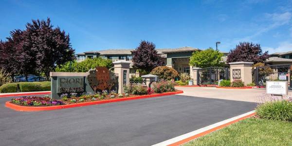 $2,442 / 1br - 743ft2 - 3-Bedroom Special! - Call Today! (rohnert pk / cotati)63671973269377124