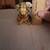 Vintage Plaid Dog Pincushion and Tape Measure 1 thumbnail