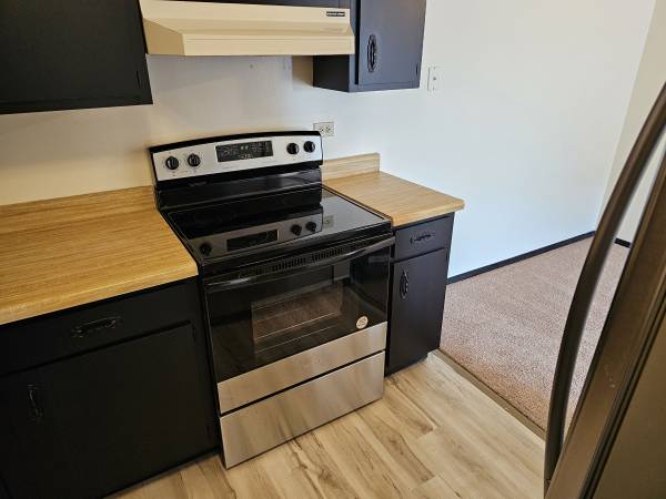 $1,200 / 2br - Apartment for rent (Mokena)63781631288195124