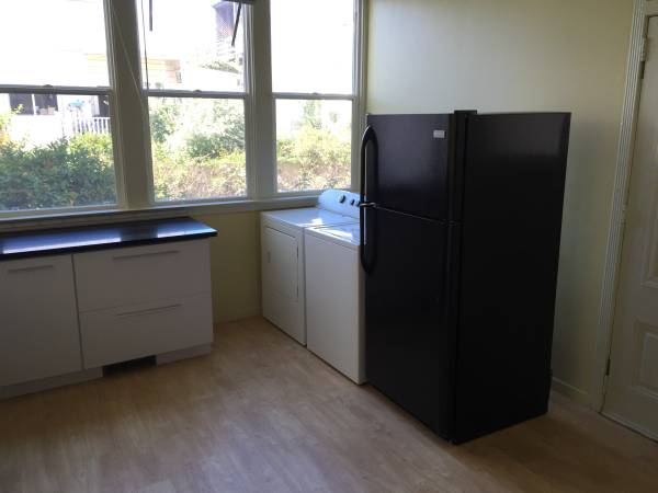 $4,700 / 3br - Remodeled 3 bdrm 1 bath apartment (mission district)63797062480129121