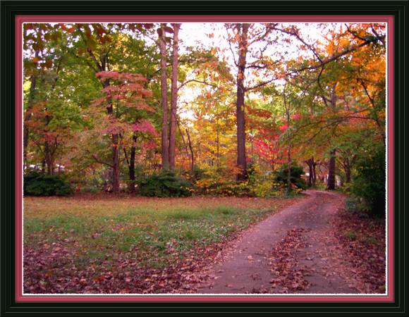 $590,000 FSBO Acreage Zoned R-5 for Investor / Developer/ Family Estate (GSO / Yanceyville St. area)64027443065857120