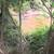 Land in Rye Tx. 13 thumbnail