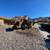 RMAX - DEMOLITION/BOBCAT/EXCAVATION SERVICES 20 thumbnail