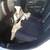 ***2016 Jeep Cherokee 4x4 Latitude*** 82k Miles- New Tires & Brakes 11 thumbnail