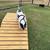 Dog Goat Backyard Play Equipment Ramp 7 thumbnail