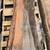 Live edge oak slabs way better than walnut 5 thumbnail