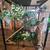 Reptile Enclosure 6 thumbnail