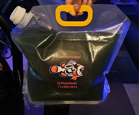 Bulk  1.3G  LIVE Phytoplankton 1