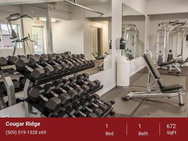 $1,040 / 1br - 672ft2 - Free Off-Street Parking, On Site Laundry Facilities, Green Space (2024 NE Terre View Dr. Pullman, WA. 99163)63980822628355121