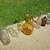 vintage glass bottles,   glass bottles,   1940's  and 50's bottles 7 thumbnail