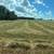 Hay for Sale (Horse and Cow) 4 thumbnail