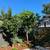 LANDSCAPER y JARDINERÍA “OASIS” 13 thumbnail