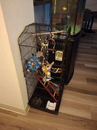 Large bird  cage (Franklin)63871359015937122