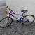 Fuji Mt. Bike 1 thumbnail