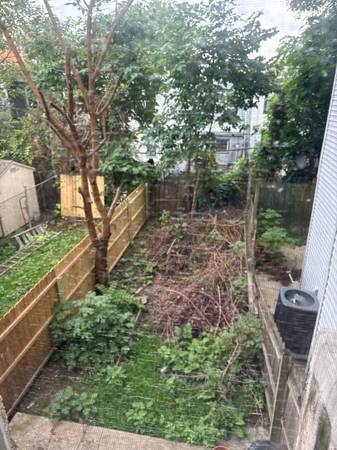 🍁🍃🍂 FALL CLEANUP- YARD DEBRIS REMOVAL - LEAF CLEANUP & REMOVAL - JUNK 1