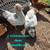 Hens & Pullets 1 thumbnail