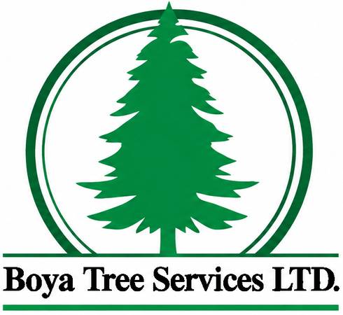 Experienced Groundperson & Arborist Climber Greater Vancouver 1