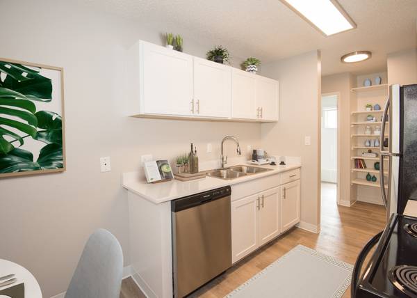 $1,500 / 1br - 590ft2 - NEW SPECIAL! Save A Total Of $2250 In Your First 6-MONTHS!* - 1B1B! (Portland)63895125300738122