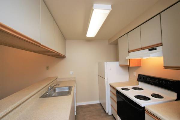 $1,595 / 1 hab - 605 pies² - Hermoso apartamento de 1 habitación en West Seattle: 4 semanas gratis (West Seattle)63659711244417122