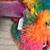 Build-A-Bear Workshop Mixter Monster Tie-Dye - Bright Color - 18" Plus 12 thumbnail