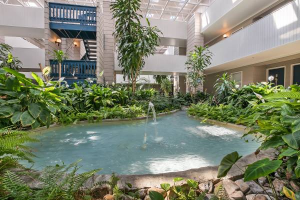 $890 / 1br - 625ft2 - Atrium View 1 Bedroom Available Soon! (Metairie)63903653067395121