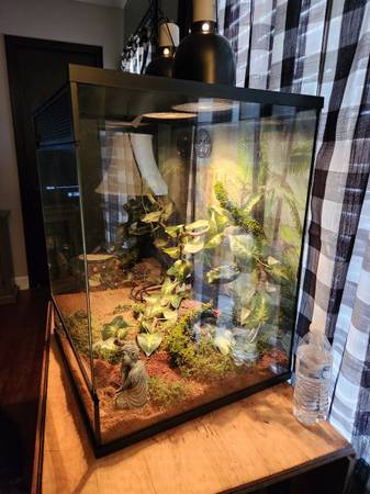 18 by 18 by 24 reptile terrarium (Wilson)63897334477058122