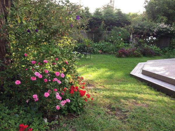 $1,350 / 1br - 385ft2 - Sunny Quiet Home to Share (mill valley)63682814333057122