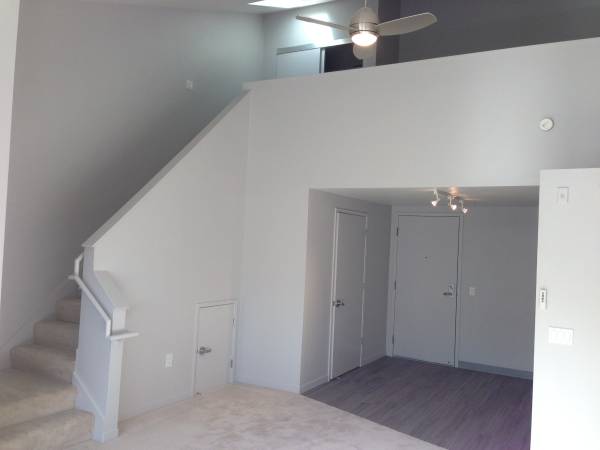Spacious Studio W LOFT AVAIBLE NOW! 1