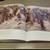 Truce by Jim Murphy hardcover Scholastic book 17 thumbnail
