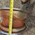 16 Inch Chrome Rims 3 thumbnail