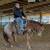 CLT Colt Starting And Training 2 thumbnail