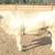Charolais Bulls 2 thumbnail