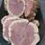 Eastern Red Cedar Rounds Slabs Slices cookies 5 thumbnail