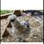 Paint Silkie Chicks & Hatching Eggs 2 thumbnail
