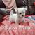 Morkie girl 1 thumbnail