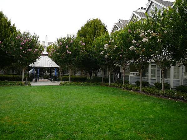 $3,400 / 1br - 900ft2 - Large 1br w/ attached garage, A/C, and washer/dryer in unit (sunnyvale)63845956181251120