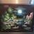Vintage 1970s Southeast Asian Oil Painting Signed Pan Framed 17.5x14" 1 thumbnail