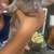 Microbully mixed american bully pups 7 thumbnail