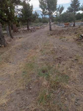 $500 / 1000ft2 - RV Spot Beautiful Mt. Shasta view63678184584067120