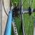 Trek Road Bike 7 thumbnail