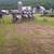 Multiple Lots OR Entire Farm * Owner Finance 14 thumbnail