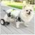 LetPetRun Adjustable Dog Wheelchair for Back Legs (new) 1 thumbnail