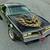 Buying 1967-1981 Pontiac firebirds Trans Ams 1 thumbnail