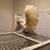 Rehoming Medium and Large Parrots 3 thumbnail
